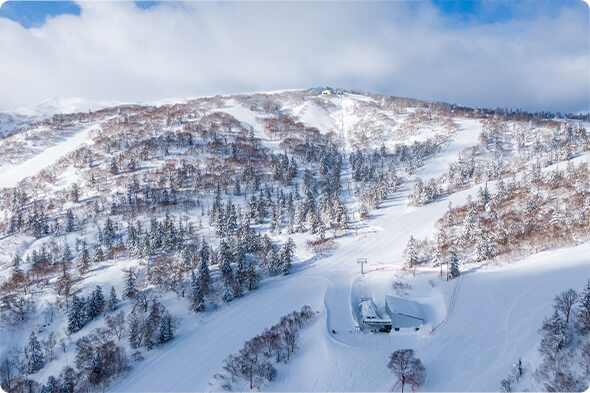 画像：札幌国際スキー場