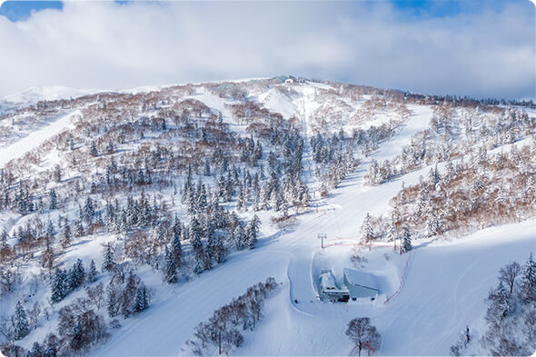 画像：札幌国際スキー場